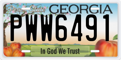GA license plate PWW6491