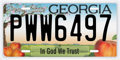 GA license plate PWW6497