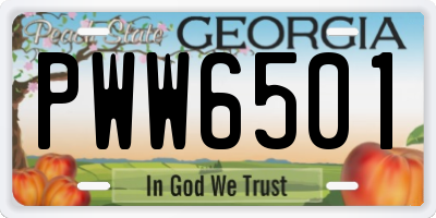 GA license plate PWW6501