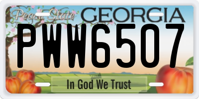 GA license plate PWW6507