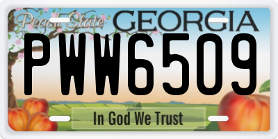 GA license plate PWW6509