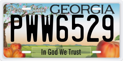 GA license plate PWW6529