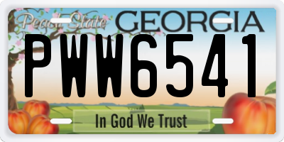 GA license plate PWW6541