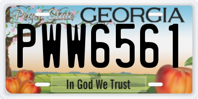 GA license plate PWW6561