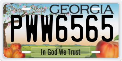 GA license plate PWW6565