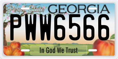 GA license plate PWW6566