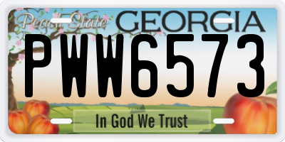 GA license plate PWW6573
