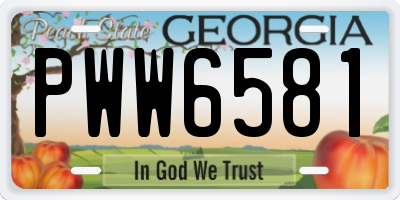 GA license plate PWW6581