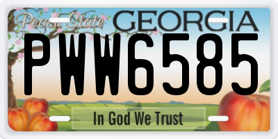 GA license plate PWW6585