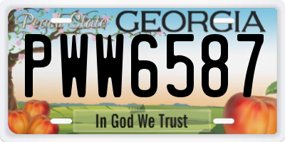 GA license plate PWW6587