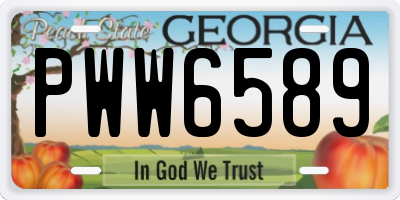 GA license plate PWW6589
