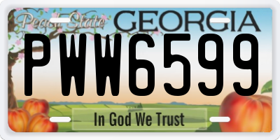 GA license plate PWW6599