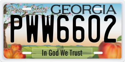 GA license plate PWW6602