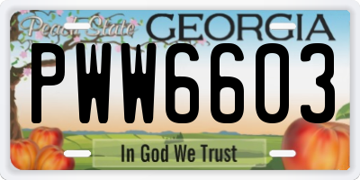 GA license plate PWW6603