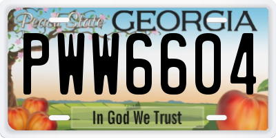 GA license plate PWW6604