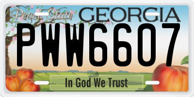 GA license plate PWW6607