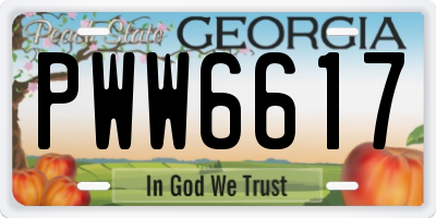 GA license plate PWW6617