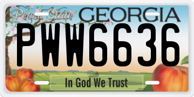 GA license plate PWW6636