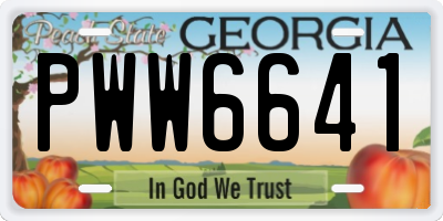 GA license plate PWW6641