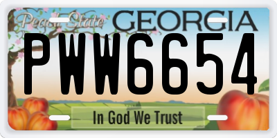 GA license plate PWW6654