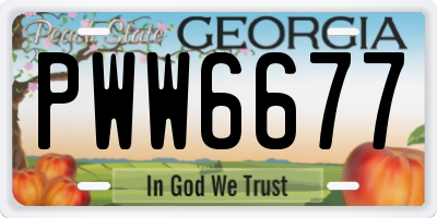 GA license plate PWW6677