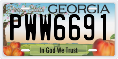 GA license plate PWW6691