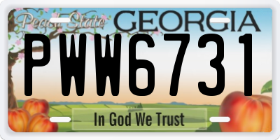 GA license plate PWW6731