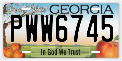 GA license plate PWW6745