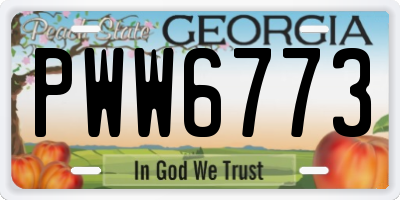 GA license plate PWW6773