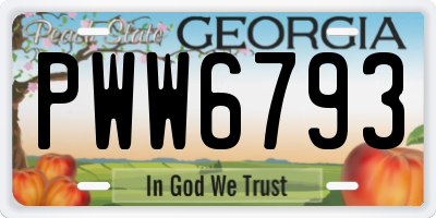 GA license plate PWW6793