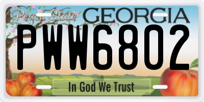 GA license plate PWW6802