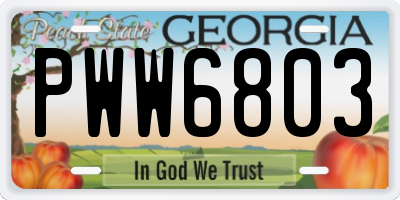 GA license plate PWW6803