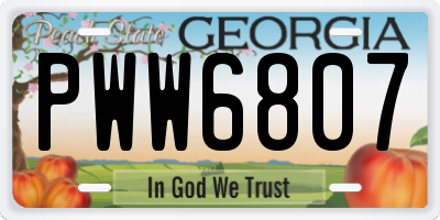 GA license plate PWW6807