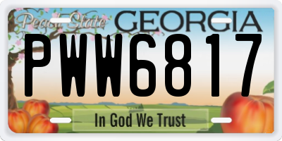 GA license plate PWW6817