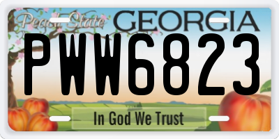 GA license plate PWW6823