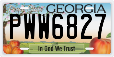 GA license plate PWW6827