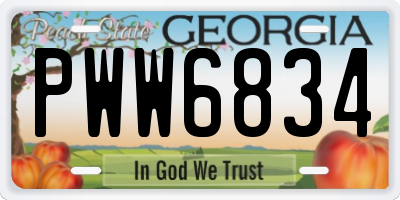 GA license plate PWW6834