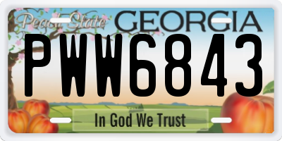 GA license plate PWW6843