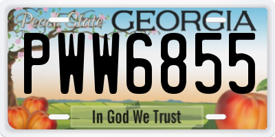 GA license plate PWW6855
