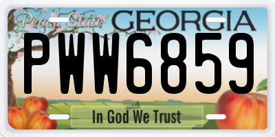 GA license plate PWW6859