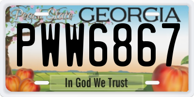 GA license plate PWW6867
