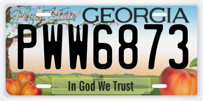 GA license plate PWW6873