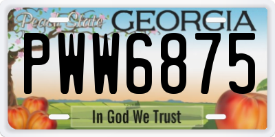 GA license plate PWW6875