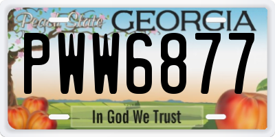 GA license plate PWW6877