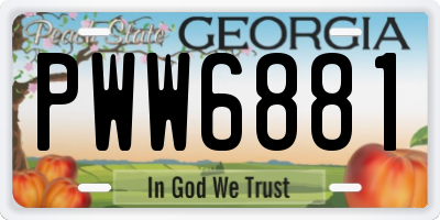 GA license plate PWW6881