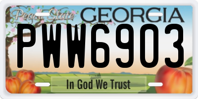 GA license plate PWW6903