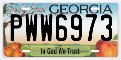 GA license plate PWW6973