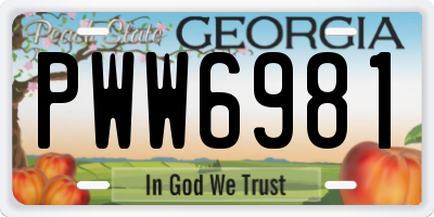 GA license plate PWW6981