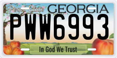 GA license plate PWW6993