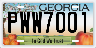 GA license plate PWW7001